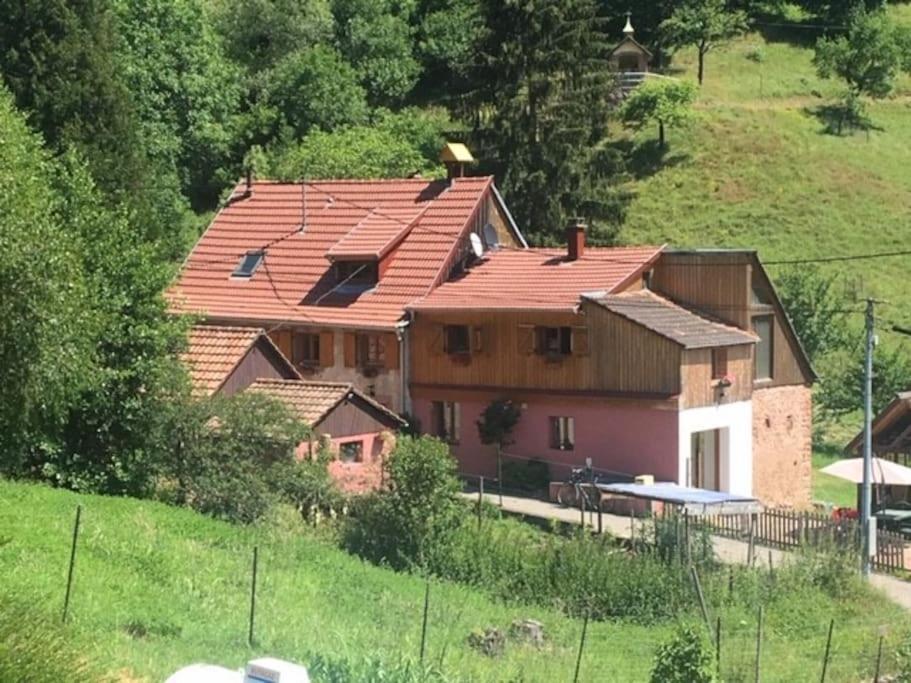 Gite De La Grande Verrerie 6 Personnes Ribeauville Exterior foto